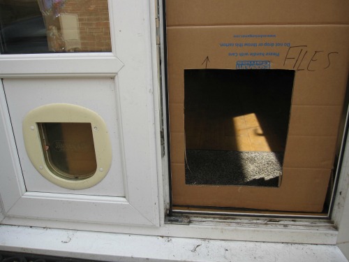 Photo of the old cat flap and prototype dog flap