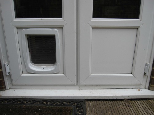 Photo of the new dog flap installed